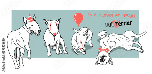 Funny white Miniature Bull Terrier dogs dressed as clowns in playful poses. Vector illustration with minimal shadows, perfect for dog lovers and humorous designs