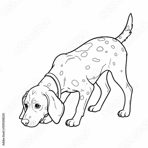 Dalmatian puppy sniffing – cute spotted dog breed in crouched pose, black and white illustration

