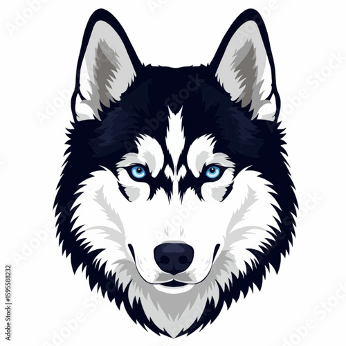 Siberian husky dog face with blue eyes – detailed head portrait of arctic breed with fluffy fur

