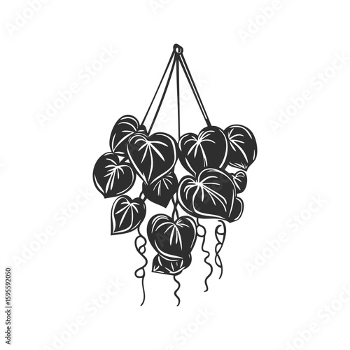 Hanging Heartleaf Philodendron Silhouette Illustration. Indoor Plant Decor And Nature Aesthetics Isolated Vector Illustration
