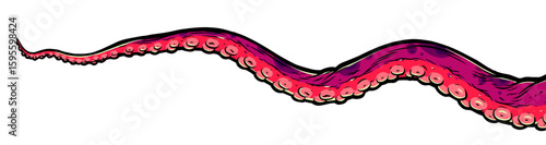 Purple octopus tentacles reaching upwards, squid-like marine animal body parts protruding from out of frame, cut for food or frame design, cartoon colour sketch anime vector illustration. 