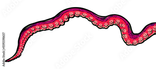 Purple octopus tentacles reaching upwards, squid-like marine animal body parts protruding from out of frame, cut for food or frame design, cartoon colour sketch anime vector illustration. 