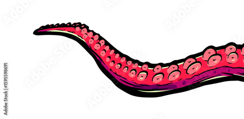Purple octopus tentacles reaching upwards, squid-like marine animal body parts protruding from out of frame, cut for food or frame design, cartoon colour sketch anime vector illustration. 