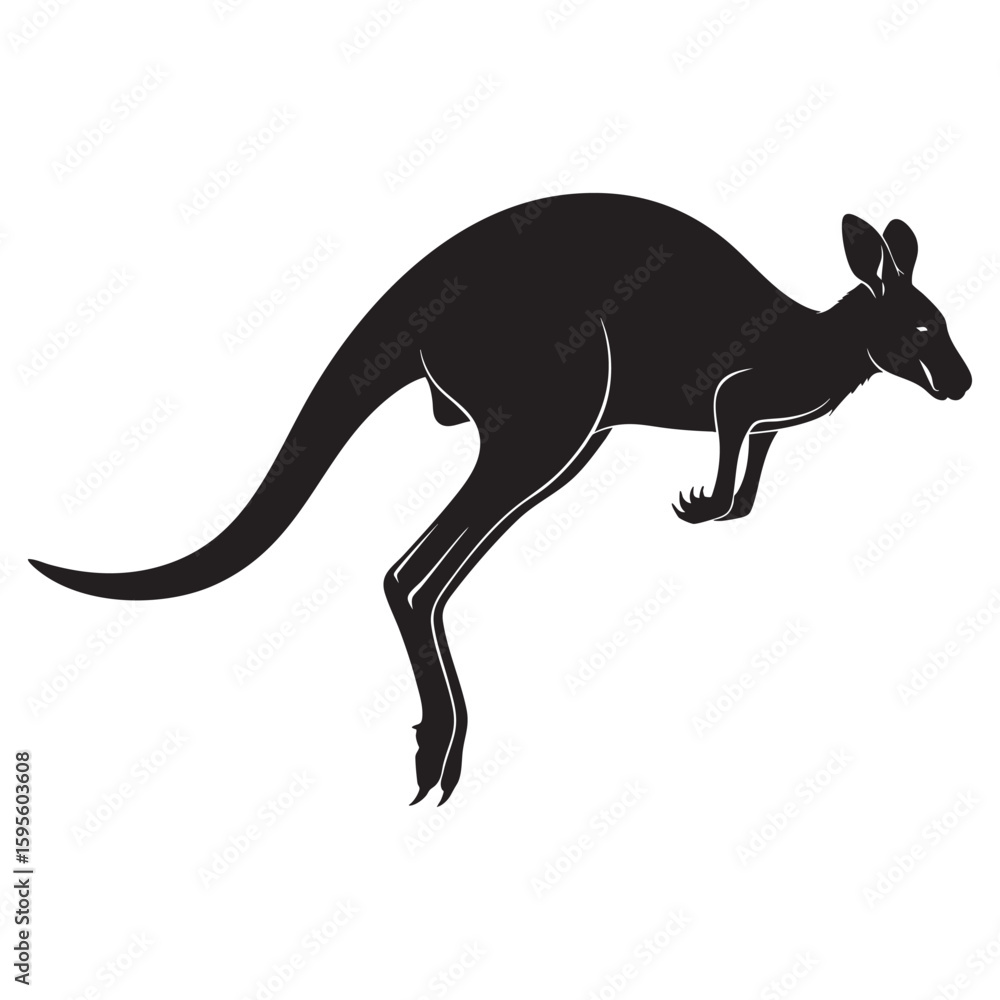Fototapeta premium A leaping Australian kangaroo showing its powerful hind legs