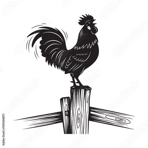 A crowing rooster on a farm fence post at sunrise woodcut