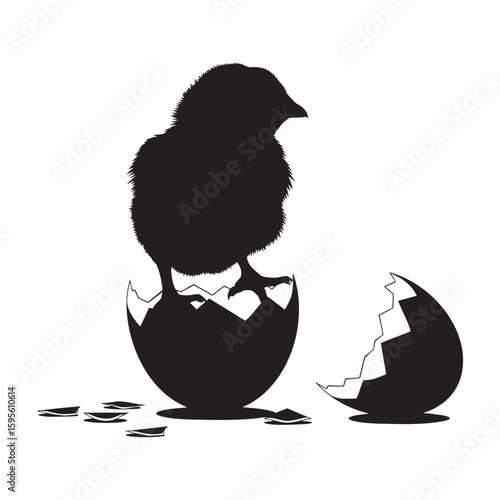 A newborn fluffy chick standing on its freshly broken eggshell