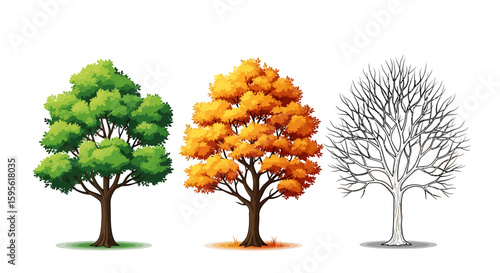 Colorful Tree Seasons