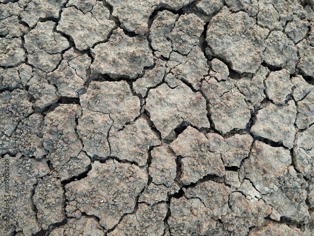 Close up dry and cracked soil surface texure background Close up dry and cracked soil surface texure background