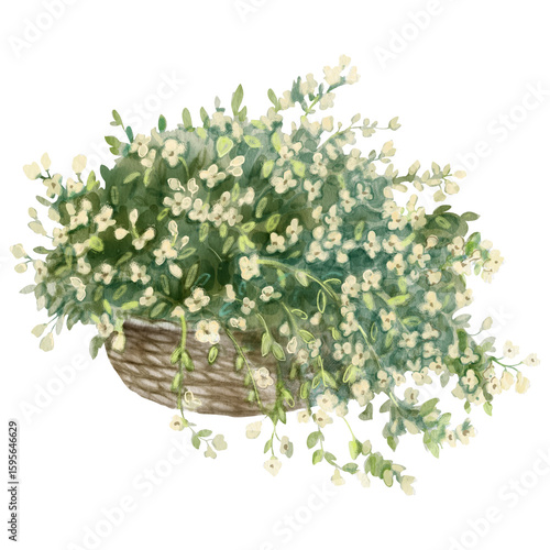 Watercolor illustration of Bouquet of many white decorative flowers. Lush white flowers in a basket. For flower shops, printing on postcards, greeting cards, business cards, etc.