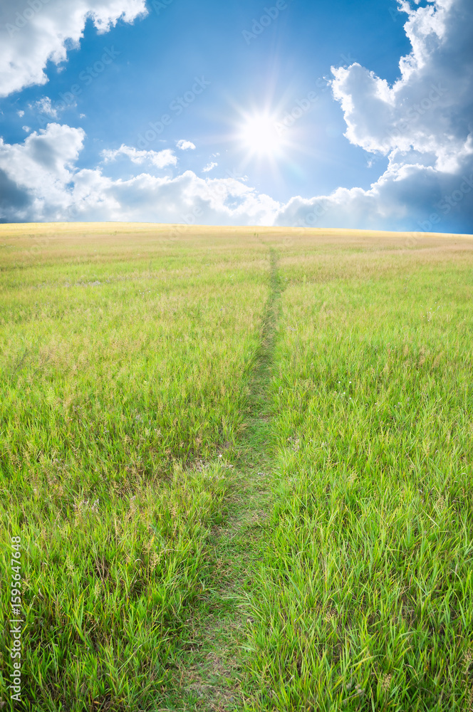 Fototapeta premium Road passing on a slope the covered grass of mountain