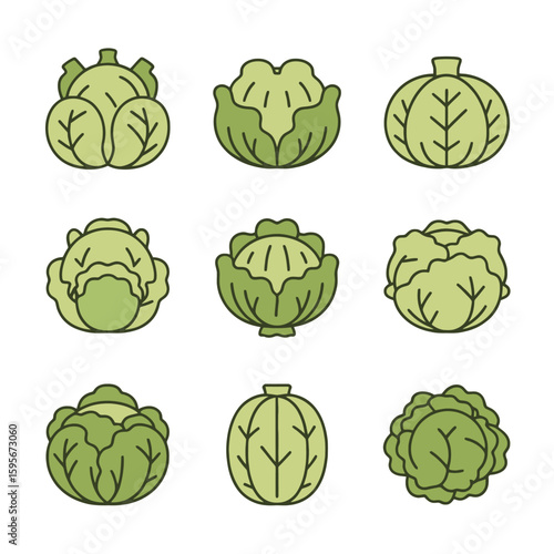 Collection of green cabbage vegetables isolated on white background
