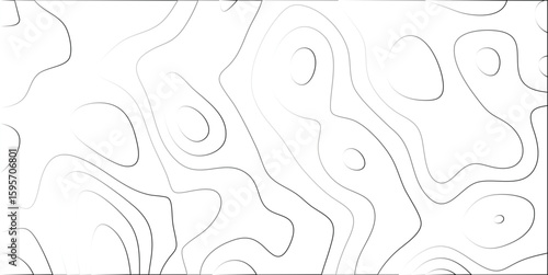 Abstract topographic contour lines illustration in grayscale showing elevation and depth variation