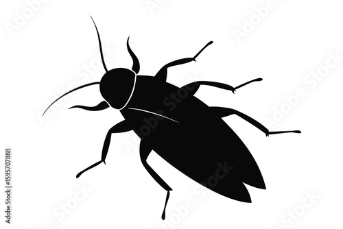 Stark black cockroach silhouette against a white background
