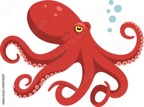 Octopus