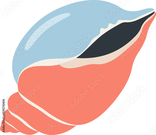 Seashell