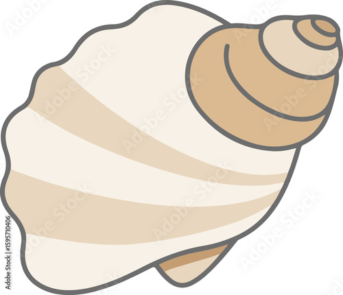 Seashell