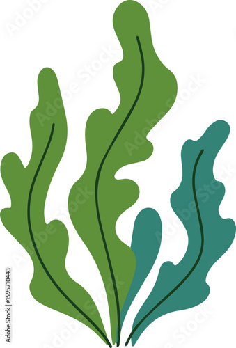 Seaweed