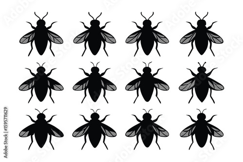 Collection of ten black fly silhouettes arranged artistically