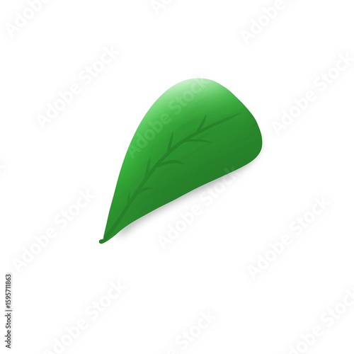 Minimal Green Leaf – Flat Botanical Illustration