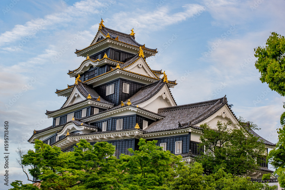 Fototapeta premium castle in the mountains