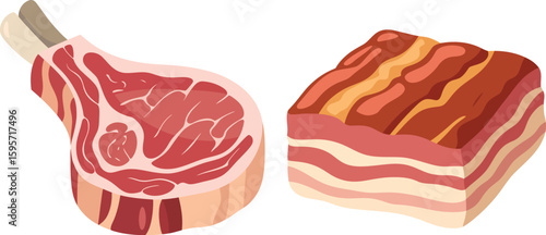 Best raw meat cuts for grilling and cooking delicious meals fresh beef and pork meat illustration