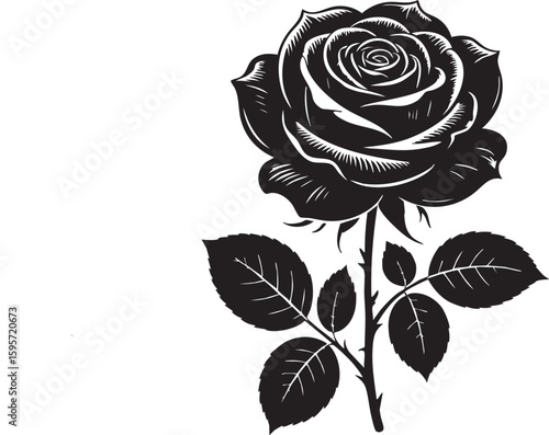 Detailed black and white illustration of a single blooming rose with leaves and stem