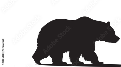Silhouette of a large grizzly bear walking across a white background
