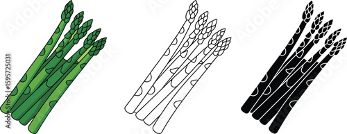 Asparagus spears vector illustration: green asparagus black and white asparagus line art asparagus