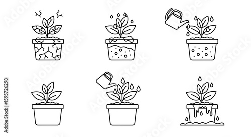 Nurturing Growth: Illustrated sequence of stages in the lifecycle of a plant, from dryness to flourishing, showcasing the transformative power of care and hydration.