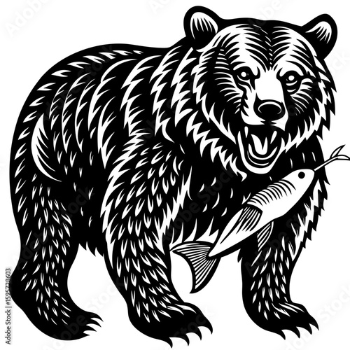vector illustration of bear