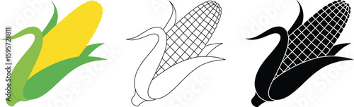 Corn vector illustration set, yellow corn, black corn, and line art corn, agriculture concept design