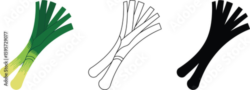 Leek vector illustration set: green leek, outline leek, and black silhouette leek for graphic design