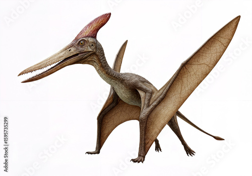 A striking, full shot of a pterodactyl, meticulously rendered.