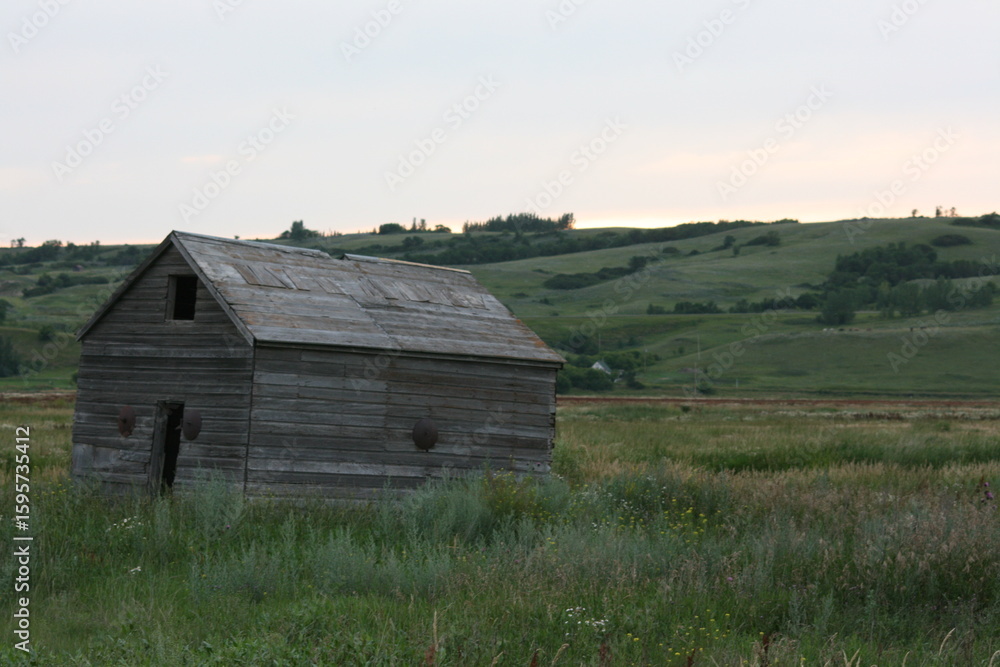 Obraz premium Mid Summer Scenery 