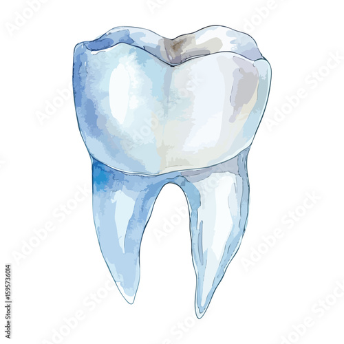White tooth watercolor illustration isolated