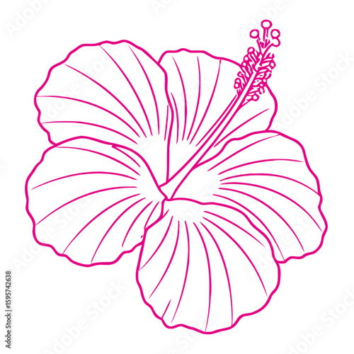 Simple outline of a vibrant pink hibiscus flower with detailed petals and stamen on a white background