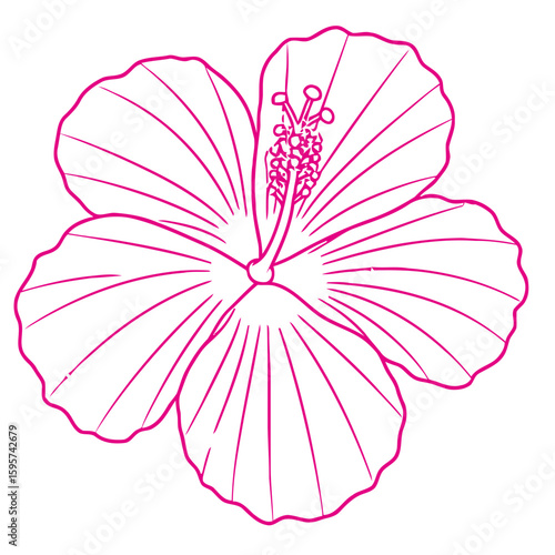 Bold pink hibiscus flower outline on a white background, a tropical symbol of beauty and nature.