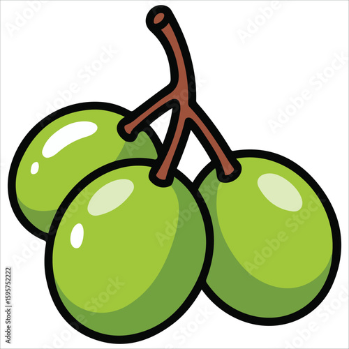 Muscat grapes fruit isolated vector illustration