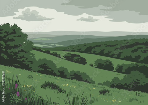 Dark forest under overcast sky and hills