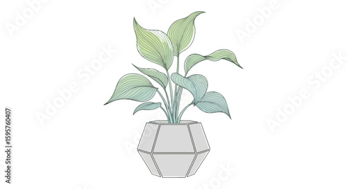 A delicate illustration of a peace lily plant in a geometric pot.