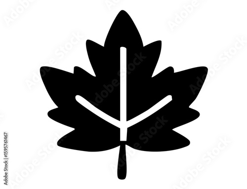 fall Icon 05 : Platanus Leaf, maple, brown, yellow, red, tree, foliage, seasonal, fall, 