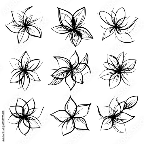 Collection of nine sketched flowers with various petal arrangements in black and white style art