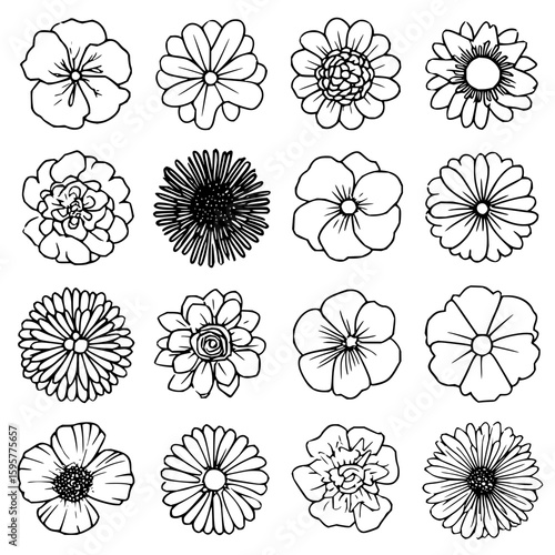Collection of sixteen different flower outlines in a grid pattern floral illustration art design