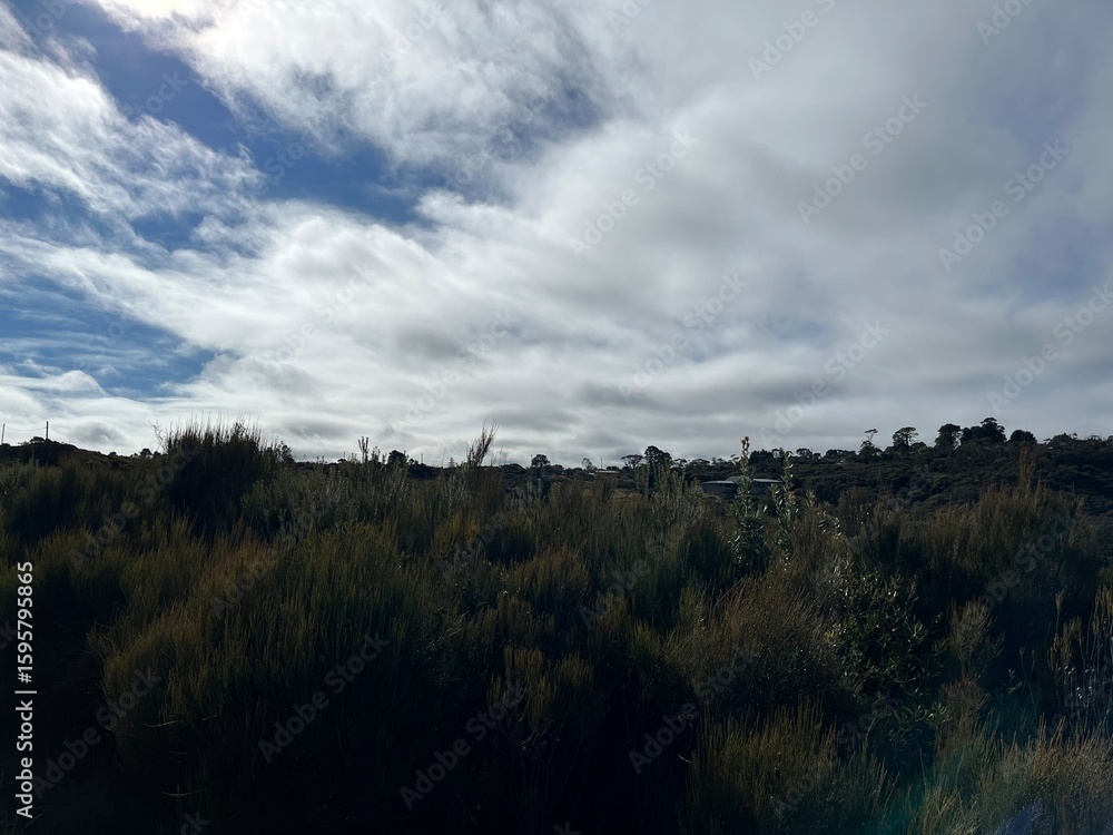 Fototapeta premium Snapshot in Blue Mountains, Australia 2025