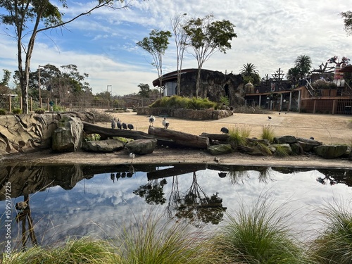 Taronga Zoo in Sydney, Australia 2025