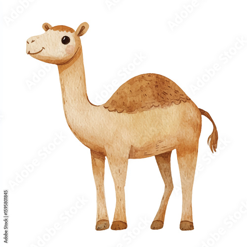 a cute animal of Camel