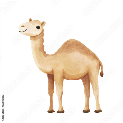 a cute animal of Camel