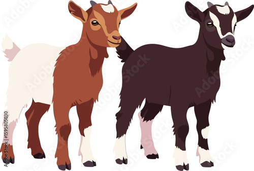Two cartoon goats standing side by side on a white background in a vector illustration style image