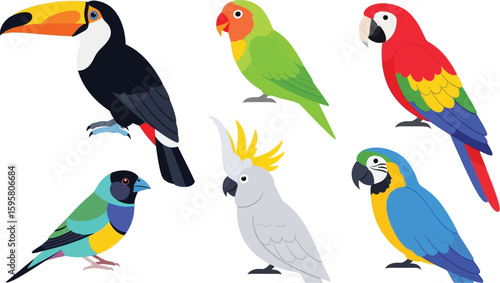 A vector illustration of six different species of colorful birds on a white isolated background