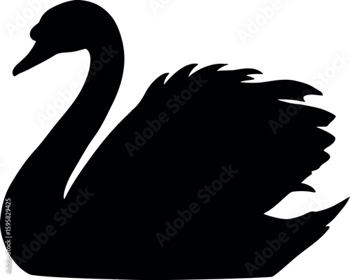 Elegant black swan silhouette on white background